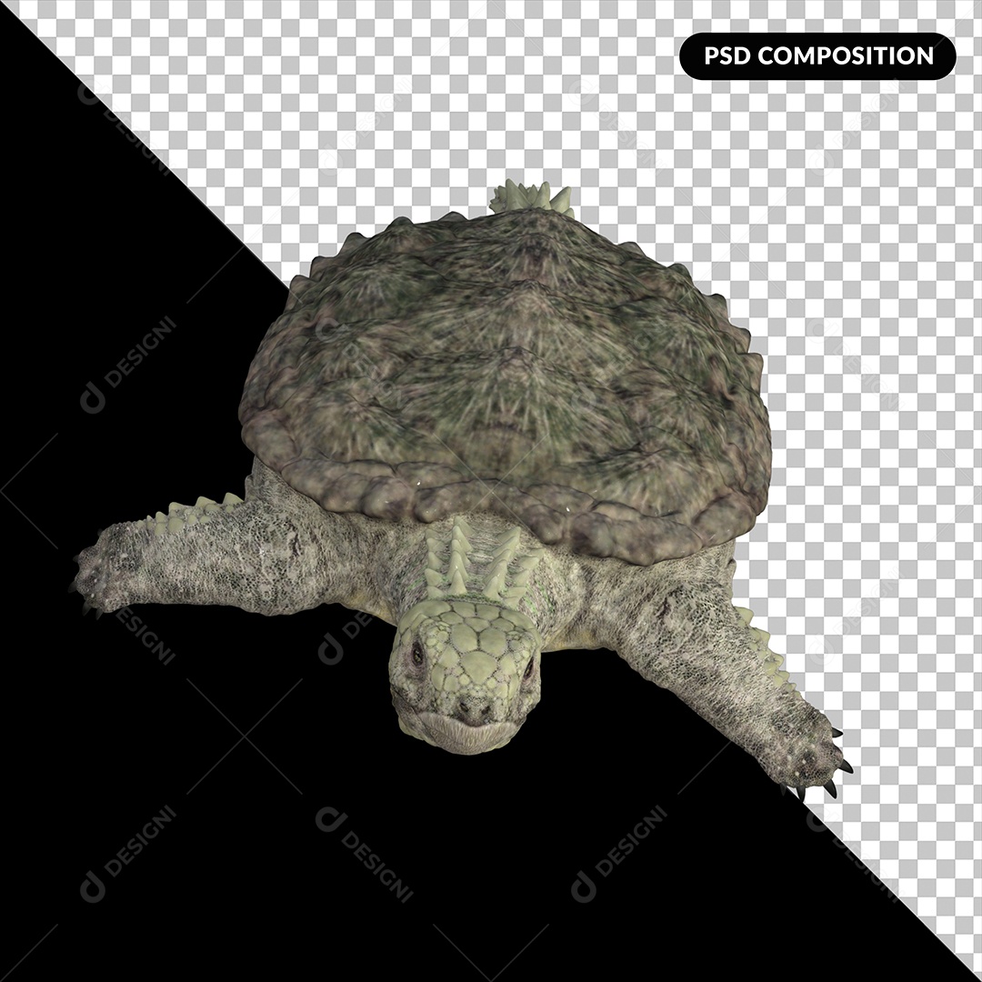 Tartaruga Proganochelys Elemento 3D para Composição PSD