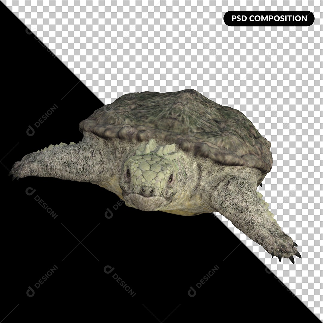 Tartaruga Proganochelys Elemento 3D para Composição PSD