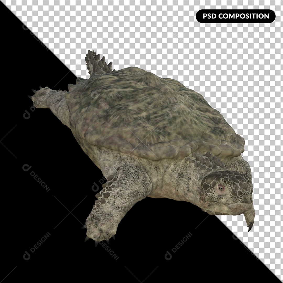Tartaruga Proganochelys Elemento 3D para Composição PSD