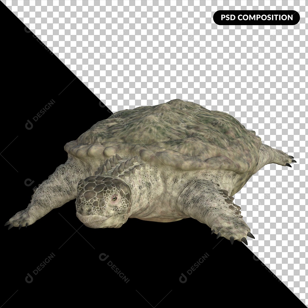 Tartaruga Proganochelys Elemento 3D para Composição PSD