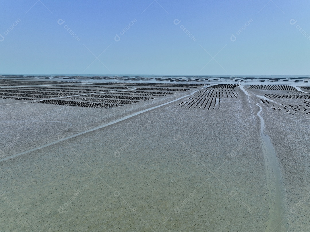 Vista aérea da fazenda de ostras agricultura sustentável
