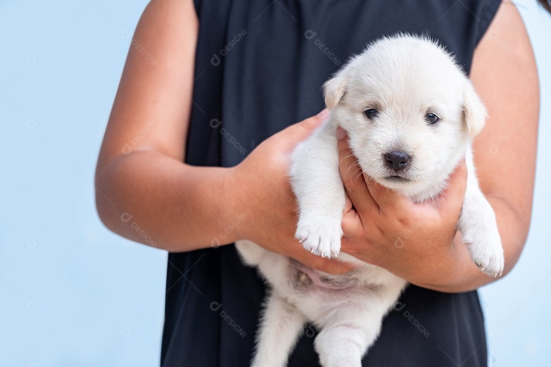 Menina de camisa preta segurando um cachorrinho marrom