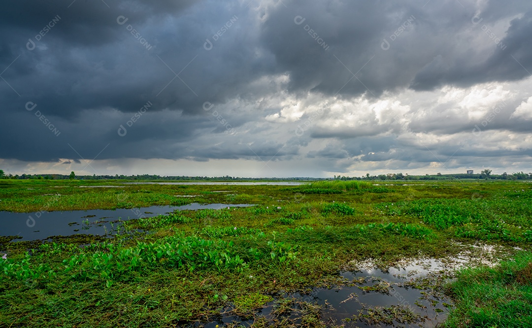 Paisagem de campo de grama verde e céu nublado