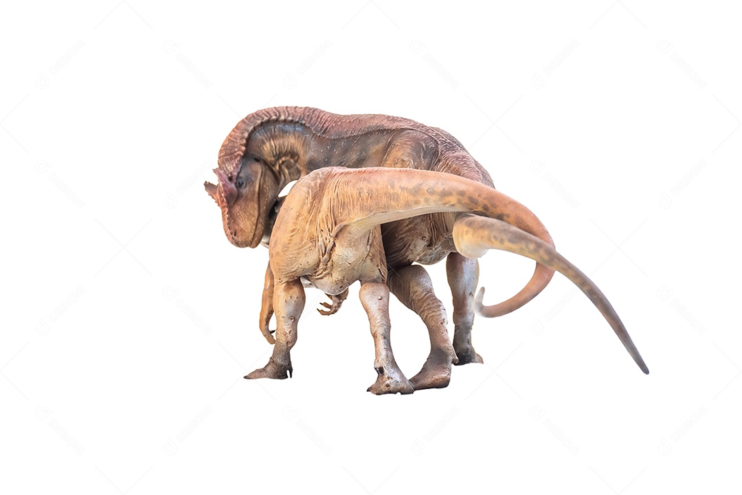 Belo dinossauro sobre fundo isolado