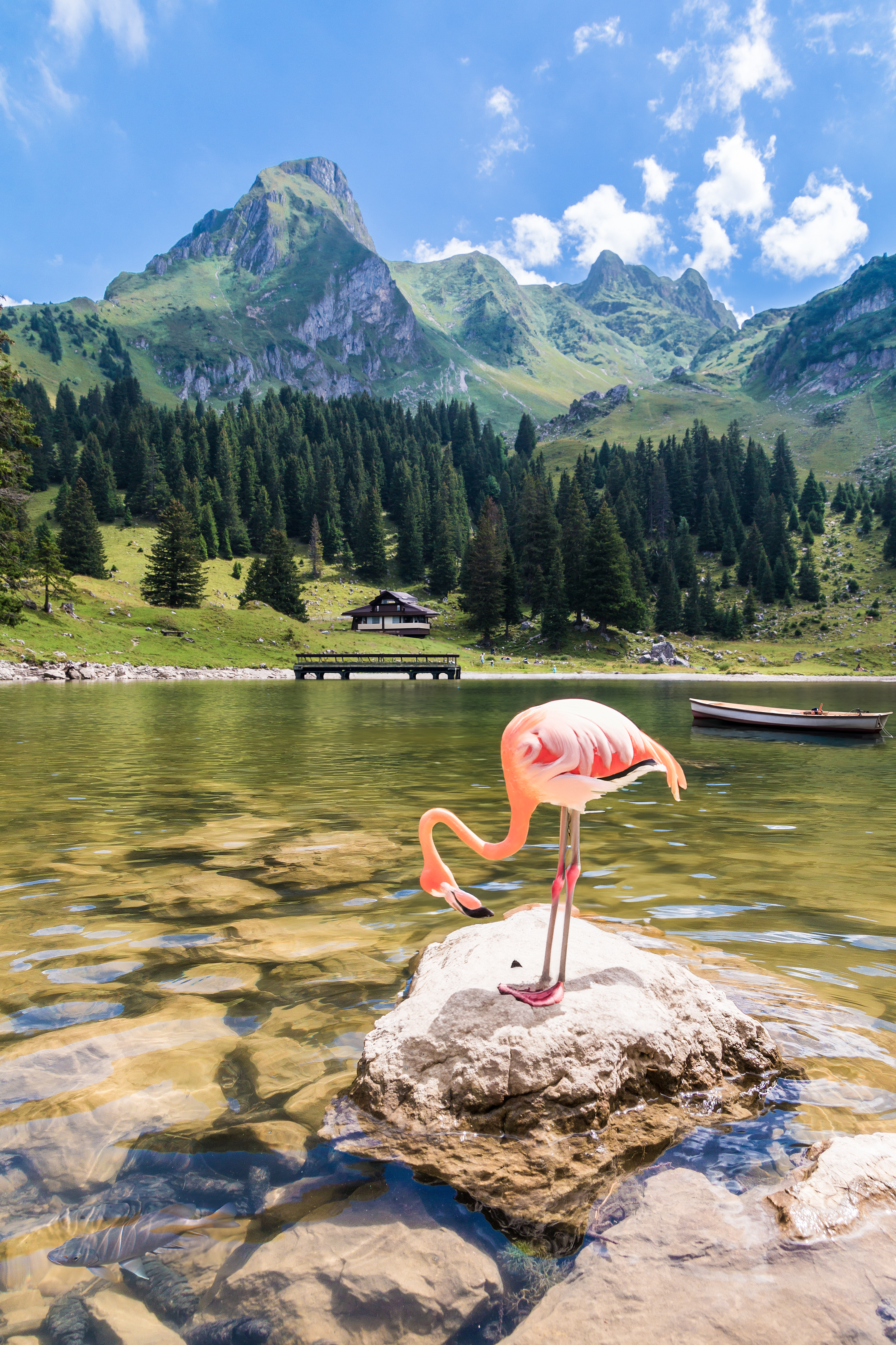 Flamingo na lagoa perto das montanhas