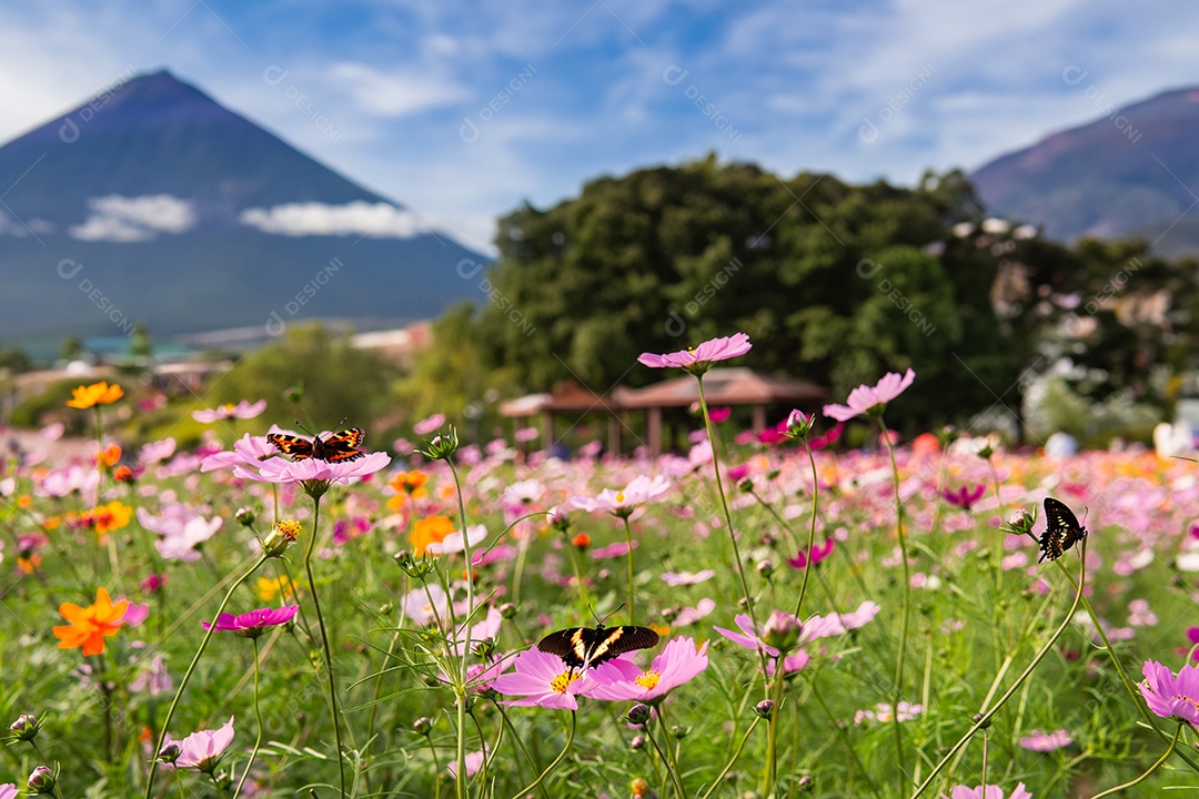 Paisagem de vulcão plantas e borboletas