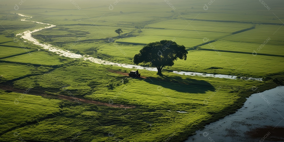 Pantanal com áreas de cultivo de algodão e milho, paisagem repleta de rios e fauna exótica