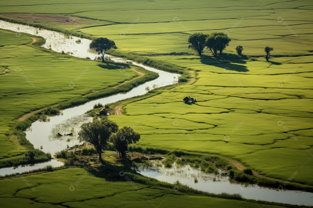 Pantanal com áreas de cultivo de algodão e milho, paisagem repleta de rios e fauna exótica.