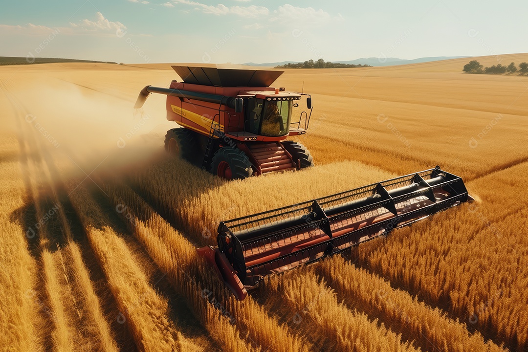 Trator rural de grande potência avançando por plantas de trigo para colheita de alta produtividade.