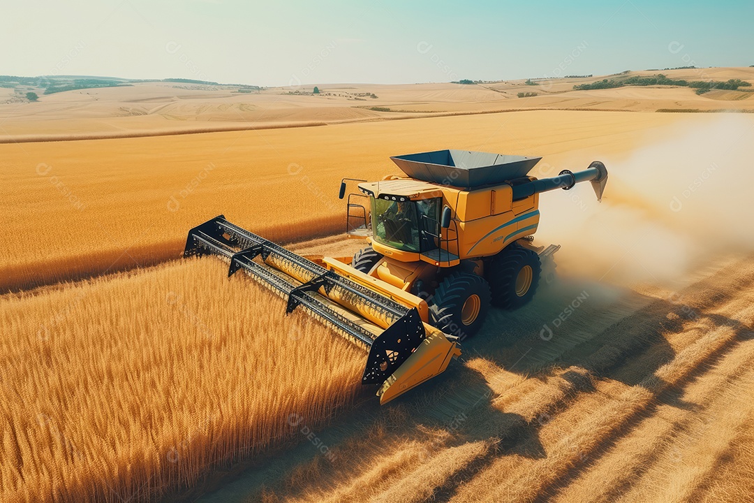 Trator rural de grande potência avançando por plantas de trigo para colheita de alta produtividade