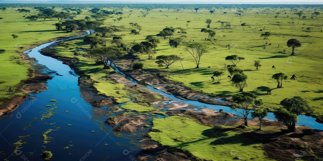 Pantanal com áreas de cultivo de algodão e milho, paisagem repleta de rios e fauna exótica.