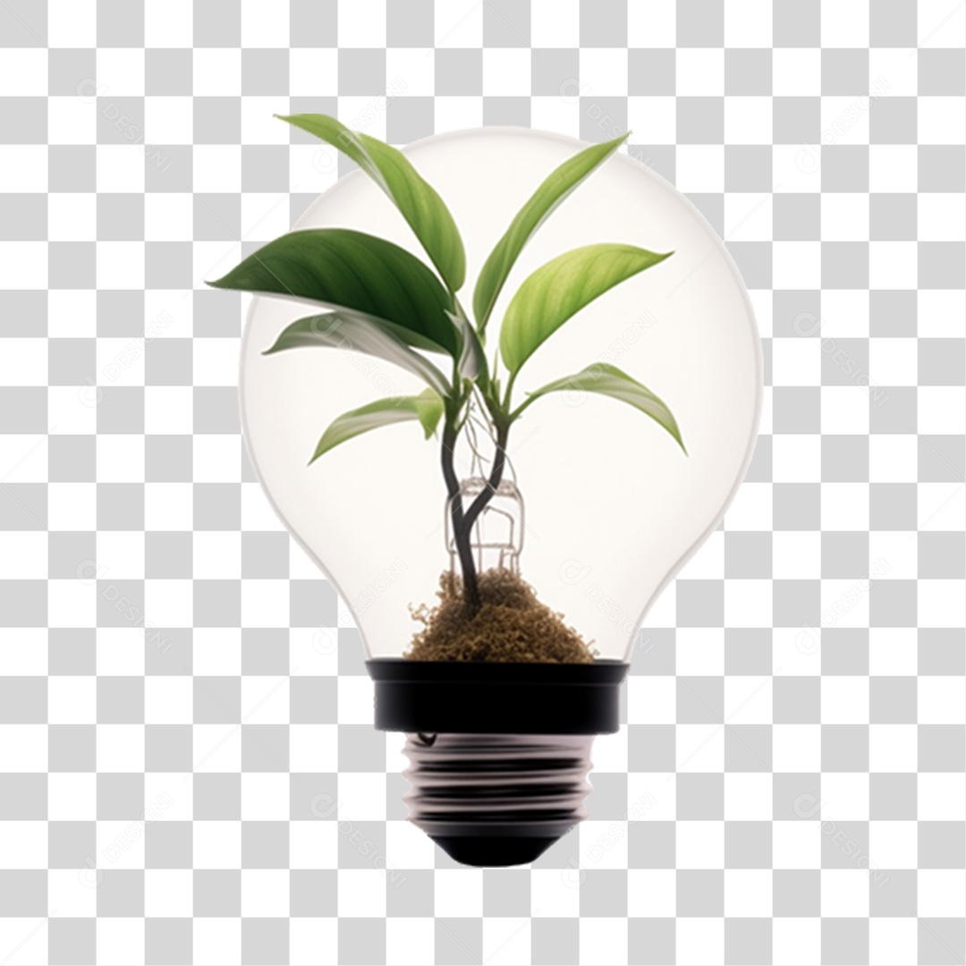 Lâmpada com Planta Dentro PNG Transparente