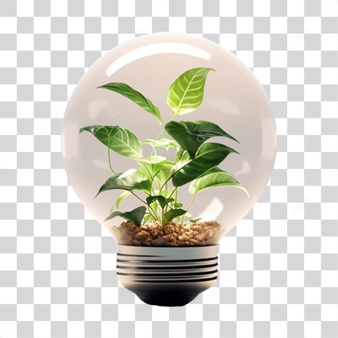 Lâmpada com Planta Dentro PNG Transparente