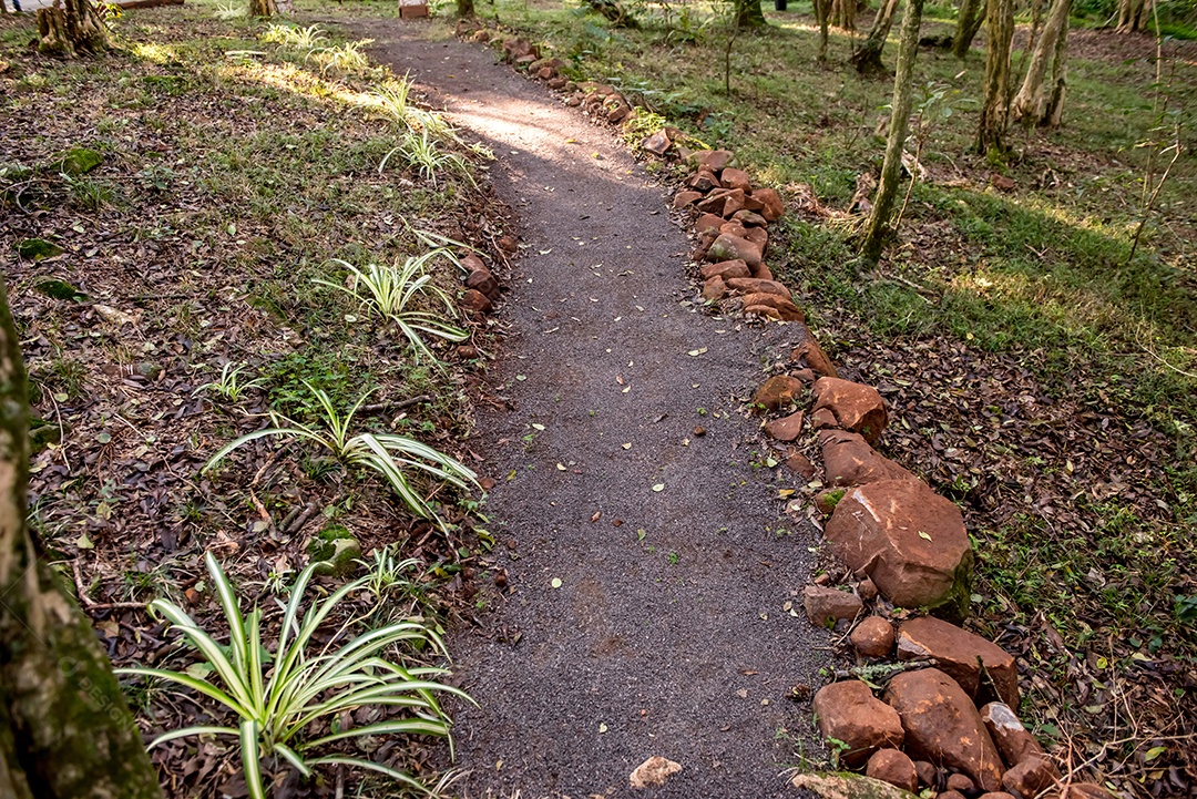 Trekking em meio à natureza no Brasil