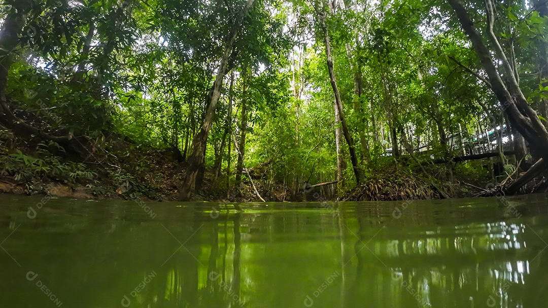 Paisagem do belo nascer do sol no Parque Khao Na Nai Luang Dharma em Surat Thani Tailândia