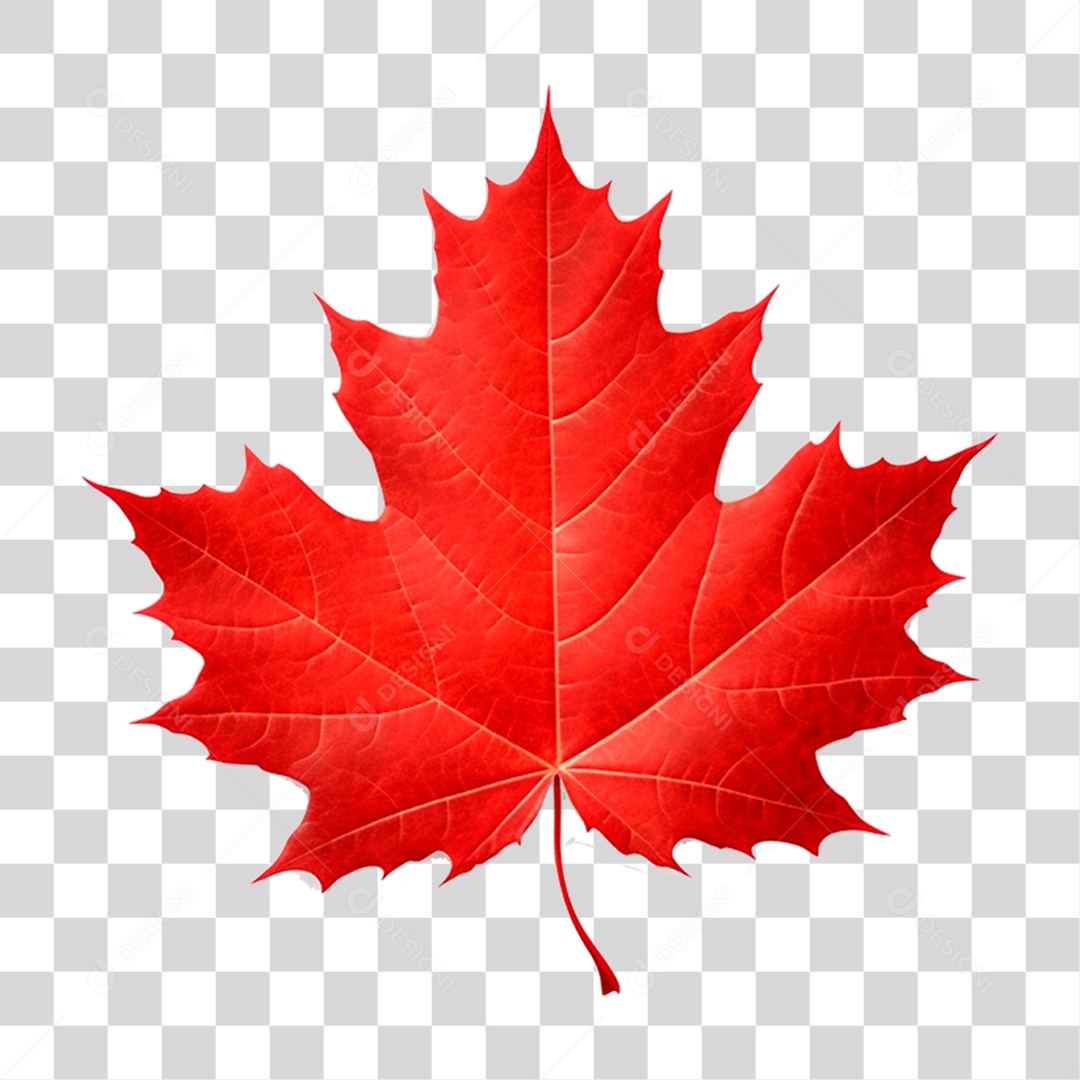 Elemento 3D Folha Vermelha para Composição PNG Transparente