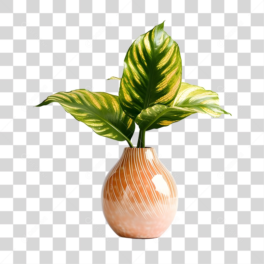 Vazo PNG Transparente