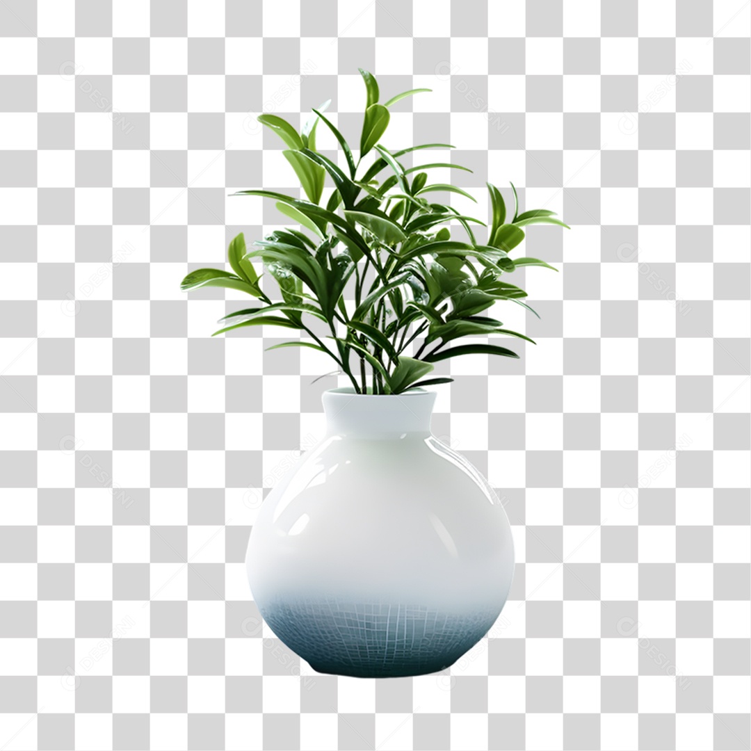 Vazo PNG Transparente