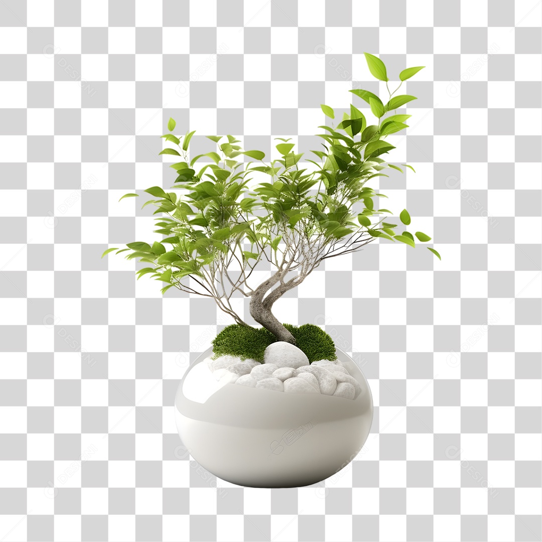 Vazo PNG Transparente