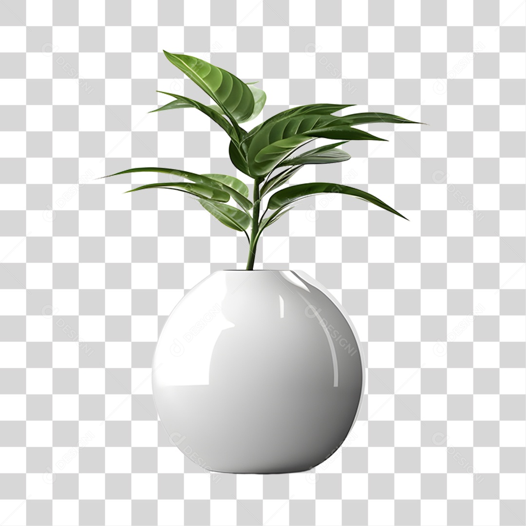 Vazo PNG Transparente