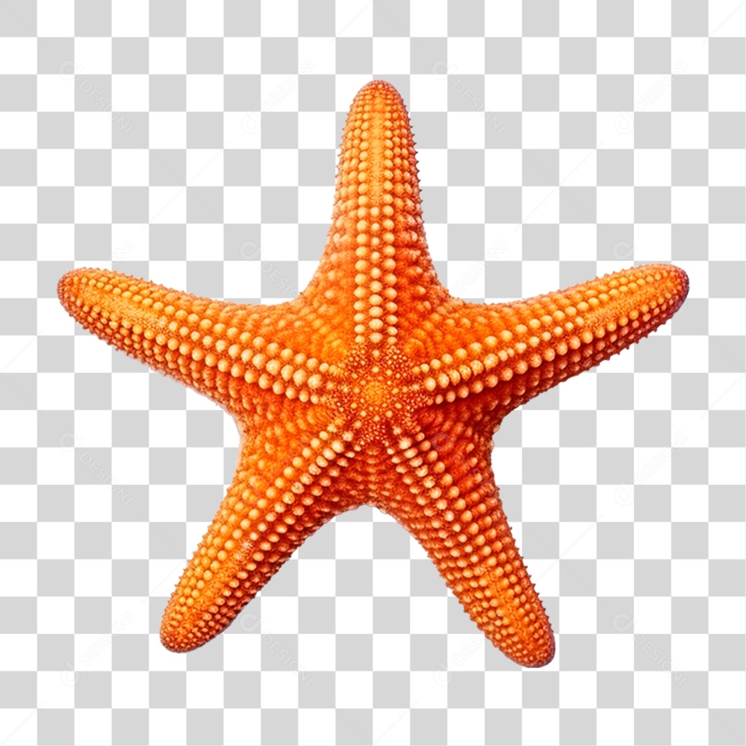 Elemento 3D Estrela do Mar PNG Transparente