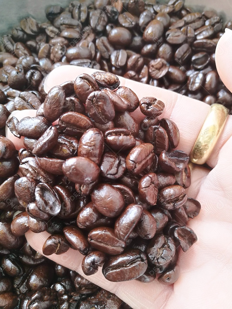 Grãos de café torrados