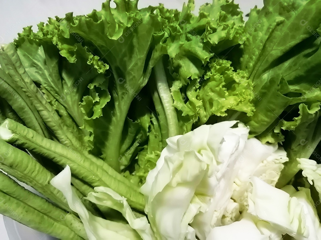 Alfaces frescos para consumo