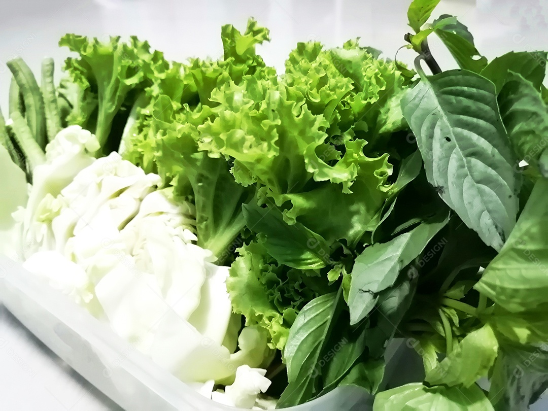 Alfaces frescos para consumo