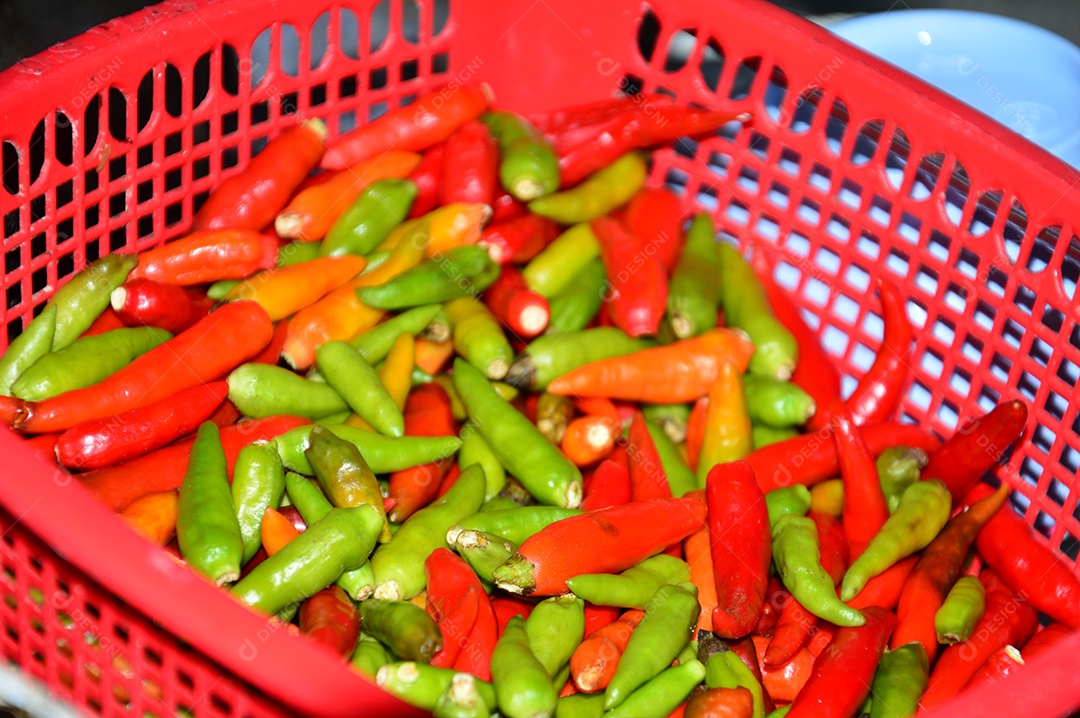 Cesta vermelha com pimentas vermelhas e verdes