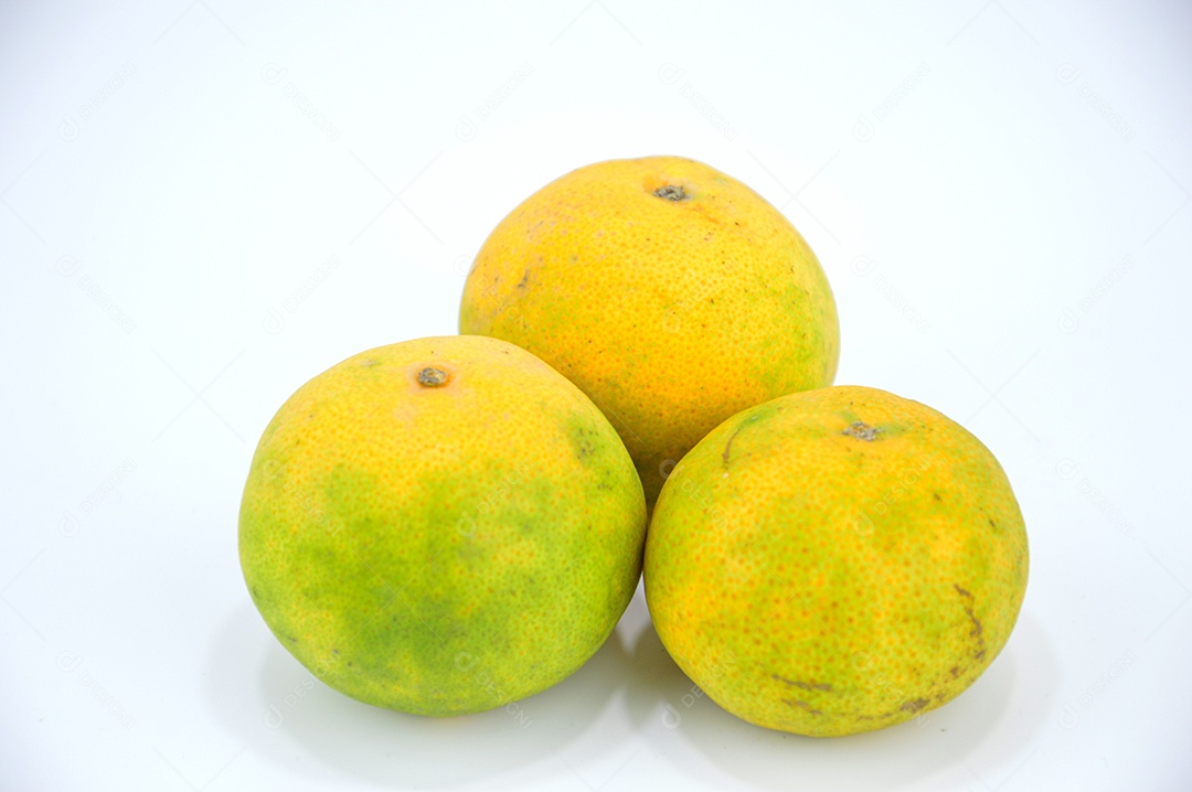 Laranjas maduras isoladas em fundo branco