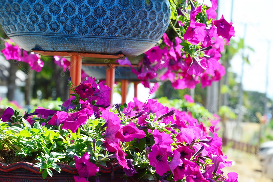 Vaso de flores rosas