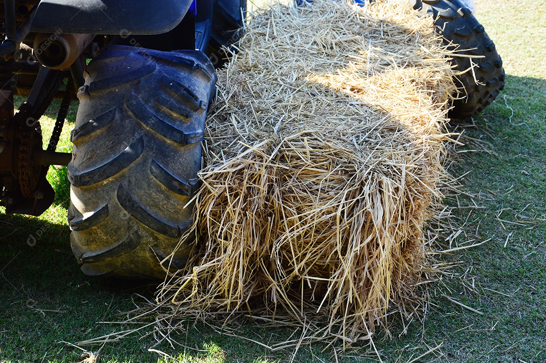 Rolo de palha seca