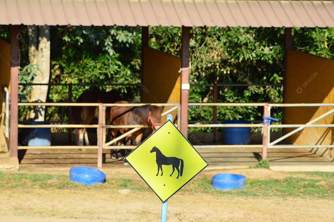 Placa amarela de sinalização de área de cavalos