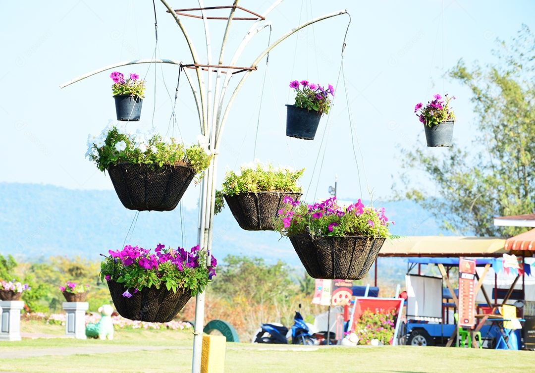 Vasos de flores suspensos no parque