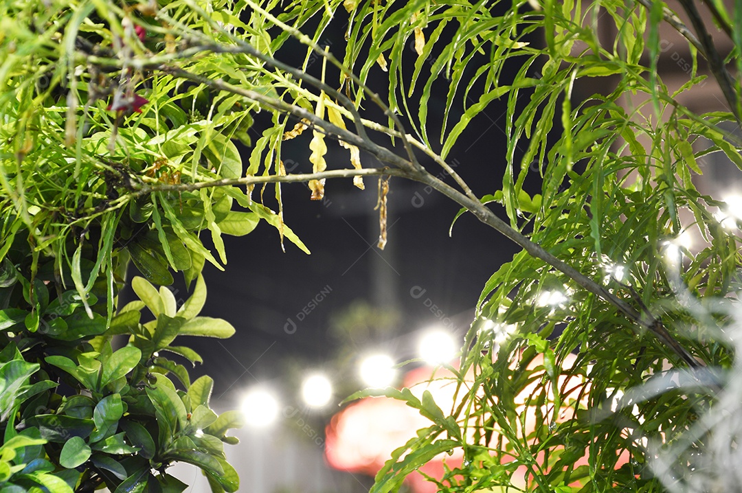 Ramo de planta verde