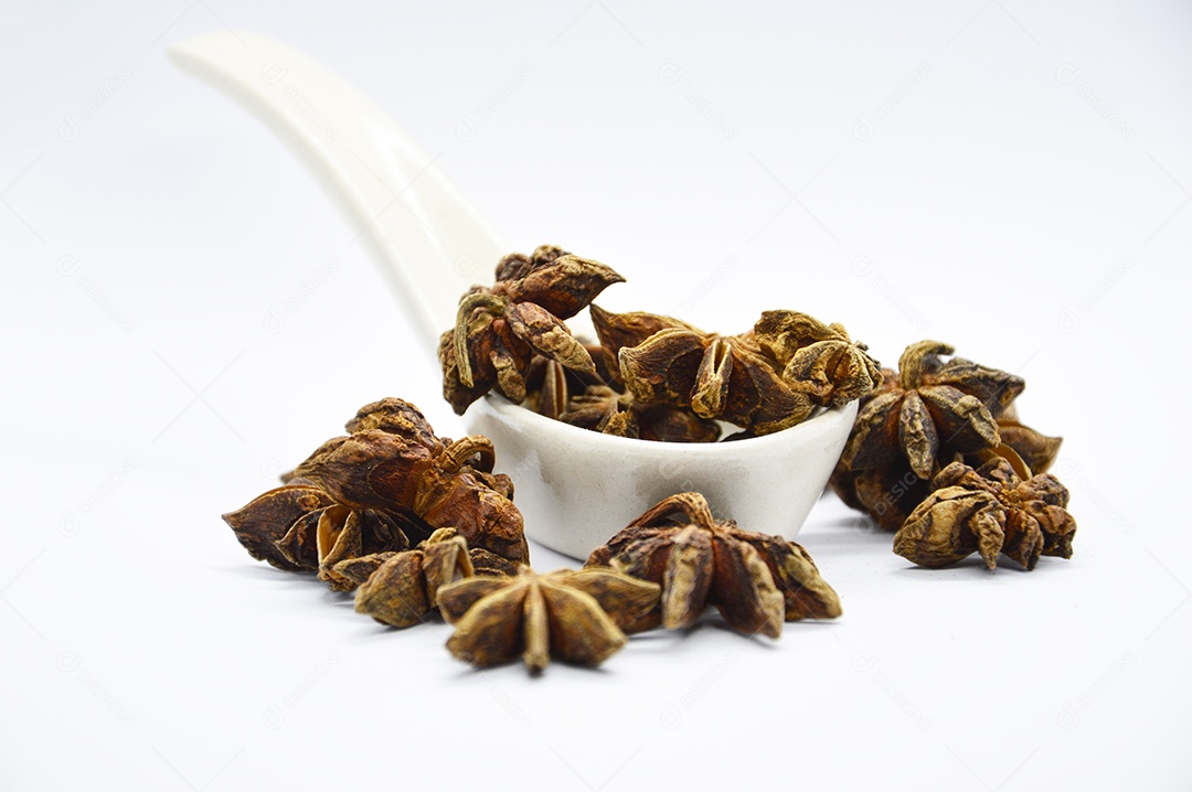 Anis estrelado sobre fundo branco