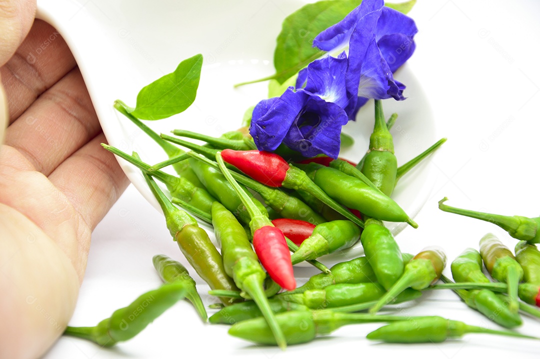Tigela com pimentas vermelhas em fundo branco