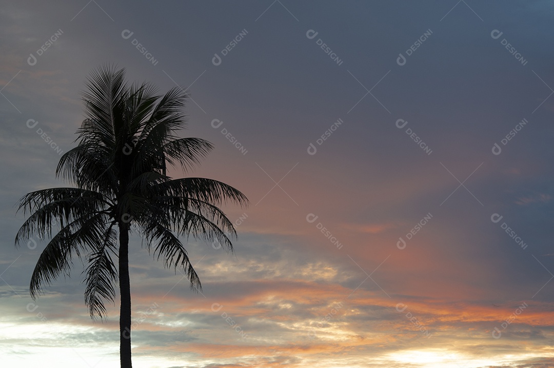 Detalhes do céu com pôr do sol e coqueiro