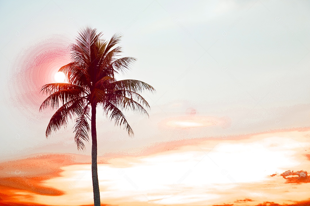 Detalhes coqueiro sobre pôr do sol