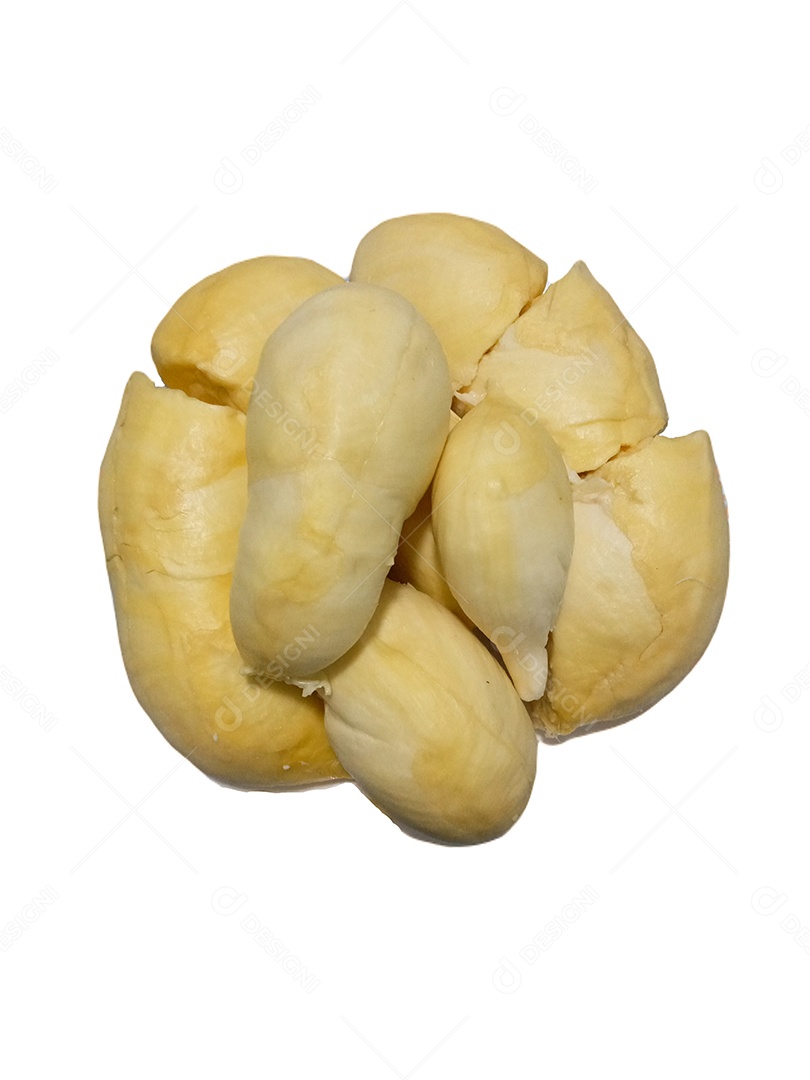 Durian descompactado colocado em um fundo branco (rainha das frutas tailandesas)