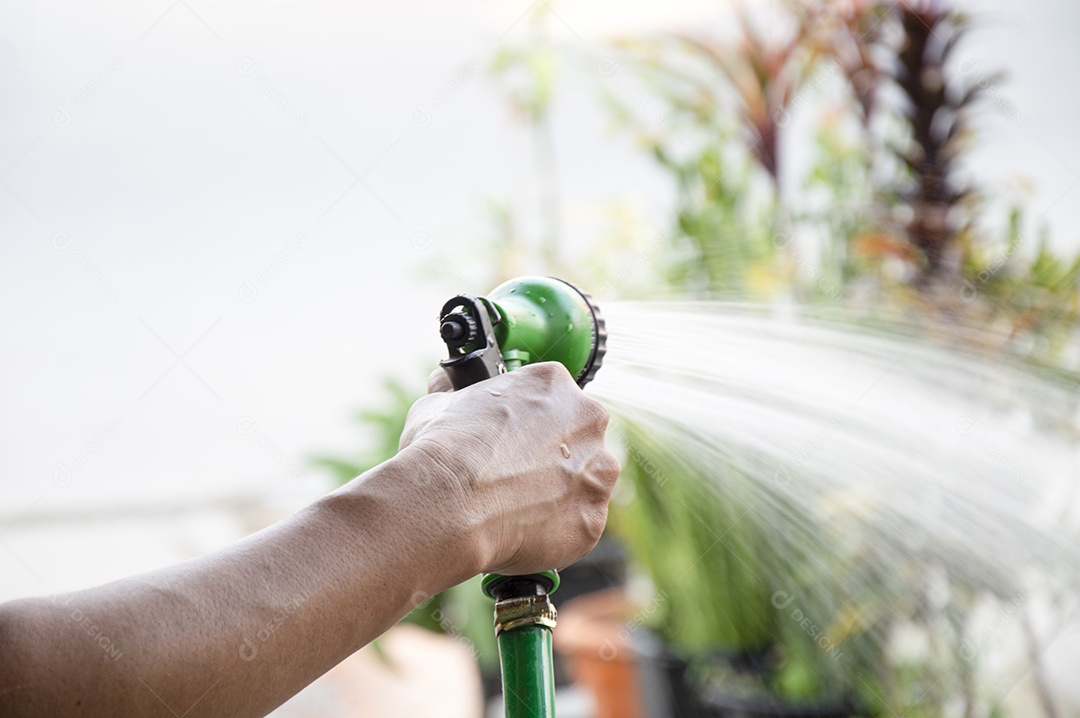 Um jardineiro usando spray de água para regar as plantas