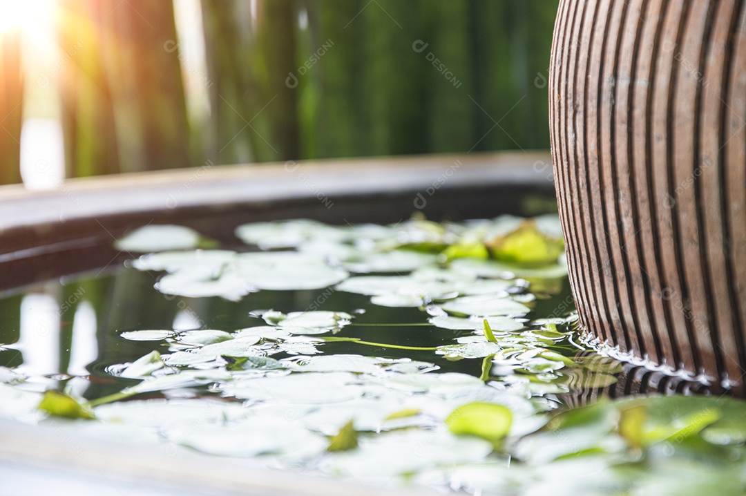 Imagem de um canto da bacia de lótus