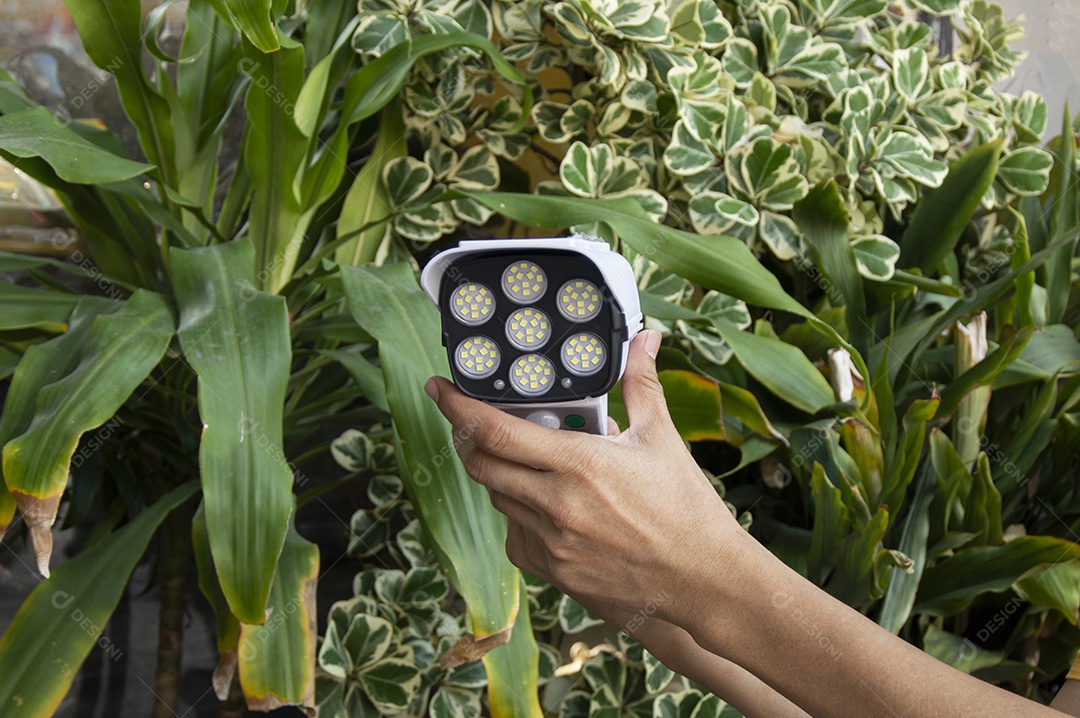 Lâmpadas de energia solar