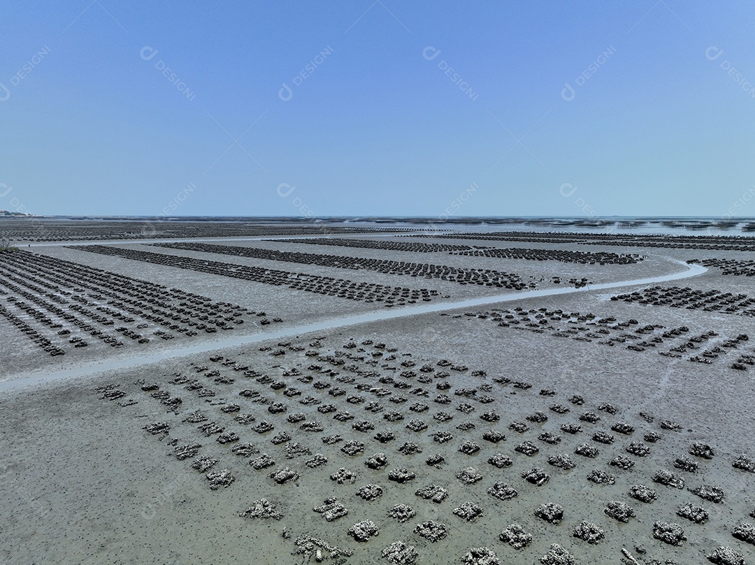Vista aérea da fazenda de ostras. Agricultura sustentável. A criação de ostras é uma prática de aquicultura.