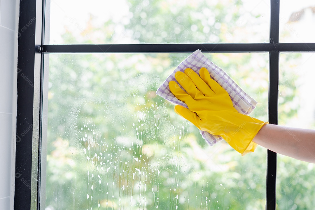 Trabalho doméstico ou serviço de limpeza doméstica