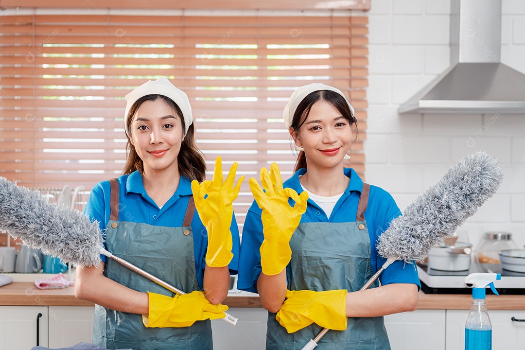 Trabalho doméstico ou serviço de limpeza doméstica