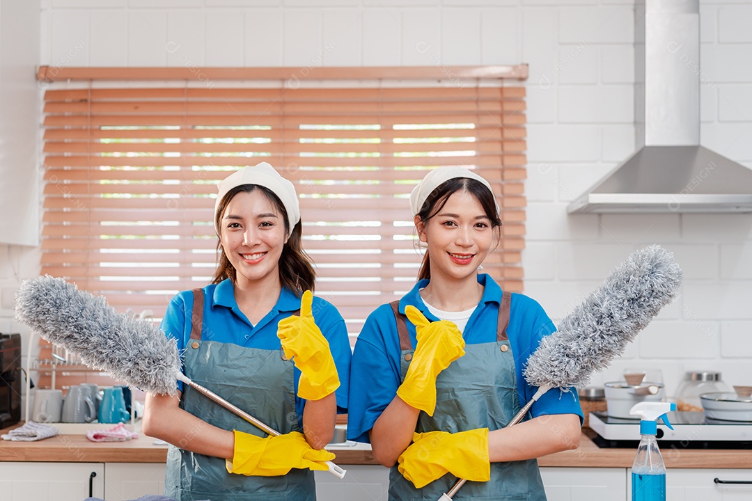 Trabalho doméstico ou serviço de limpeza doméstica