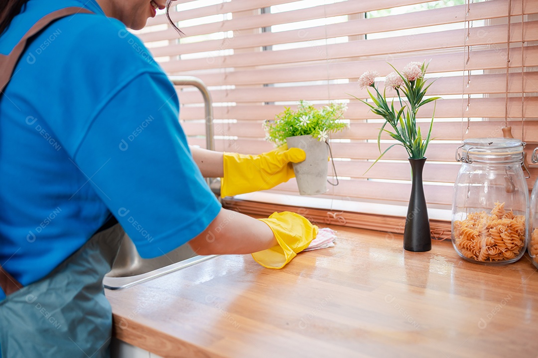 Trabalho doméstico ou serviço de limpeza doméstica