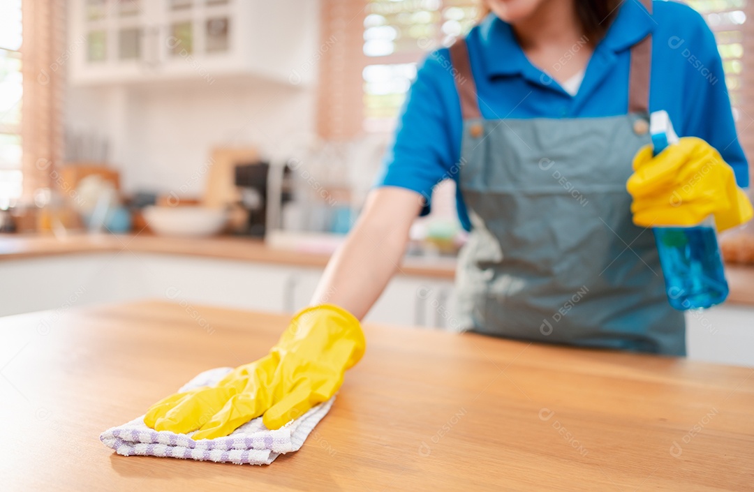 Trabalho doméstico ou serviço de limpeza doméstica