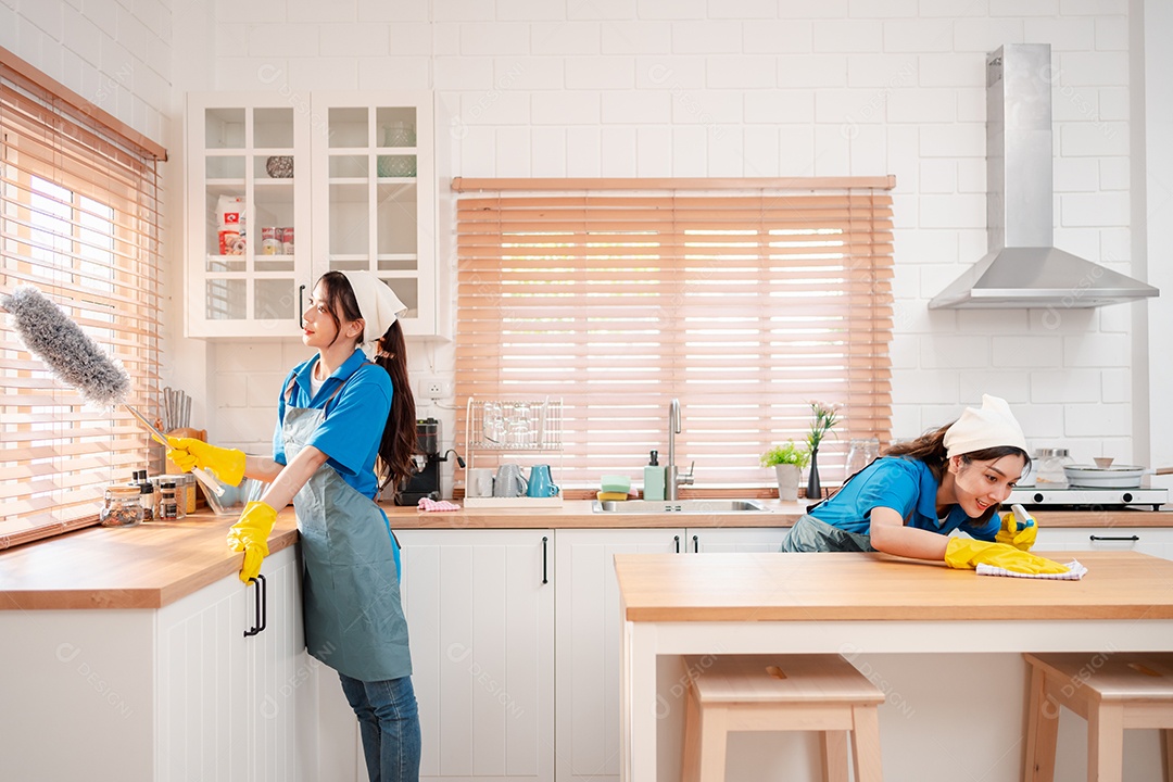 Trabalho doméstico ou serviço de limpeza doméstica